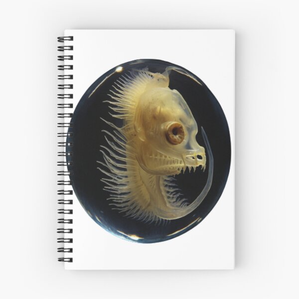 Item preview, Daphnia designed and sold by Tee Studio.