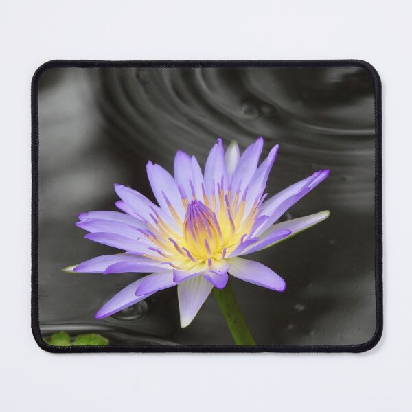 Item preview, Purple Lilly flower and water ripple designed and sold by Mark Grimsley.