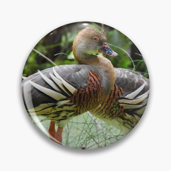 Item preview, Ducks this way or that way  designed and sold by Mark Grimsley.