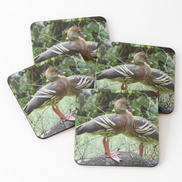 Item preview, Ducks this way or that way  designed and sold by Mark Grimsley.