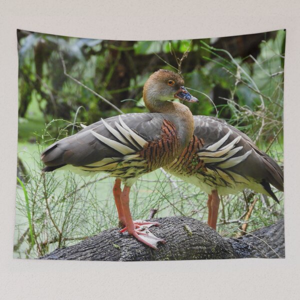 Item preview, Ducks this way or that way  designed and sold by Mark Grimsley.