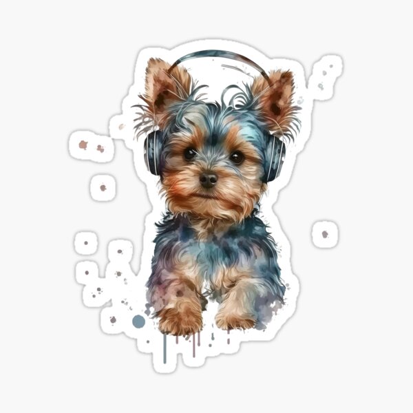 Music for hot sale yorkies