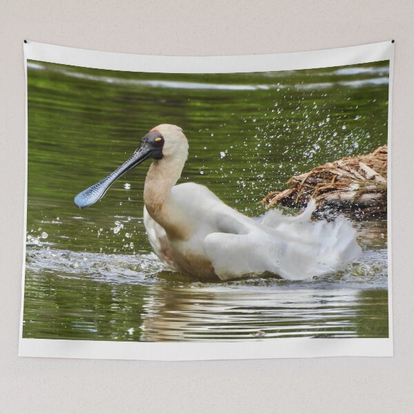 Item preview, Royal spoonbill splash down  designed and sold by Mark Grimsley.