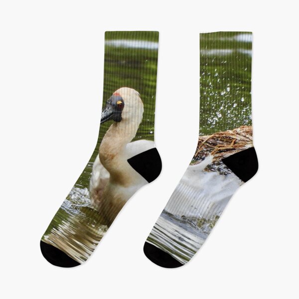 Item preview, Royal spoonbill splash down designed and sold by Mark Grimsley.