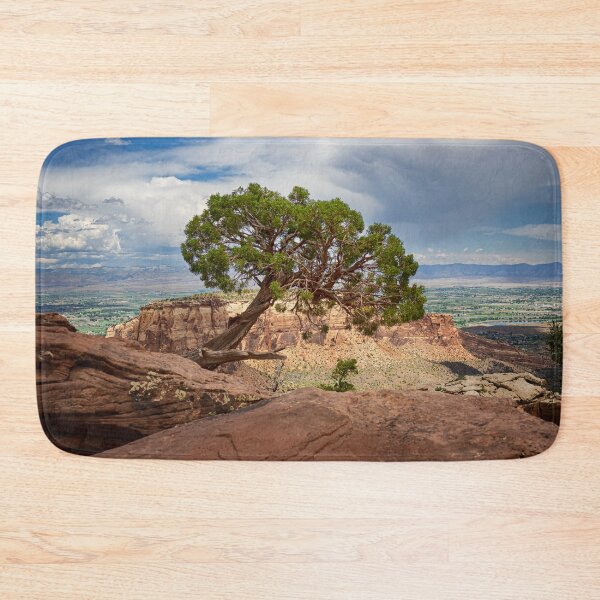 Item preview, A Tree on the Edge - Colorado National Monument designed and sold by Kathy Weaver.