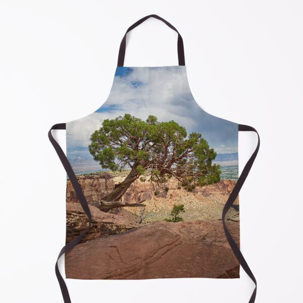 Item preview, A Tree on the Edge - Colorado National Monument designed and sold by Kathy Weaver.