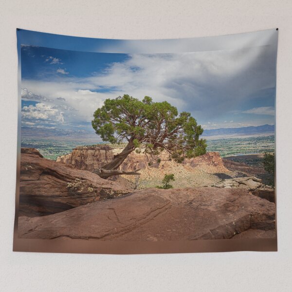 Item preview, A Tree on the Edge - Colorado National Monument designed and sold by Kathy Weaver.