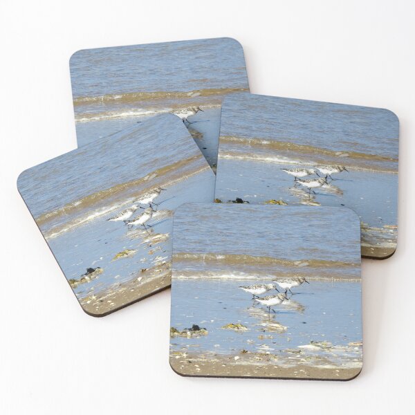 Item preview, Three Sanderlings at the edge of the sea designed and sold by TwistedClassics.