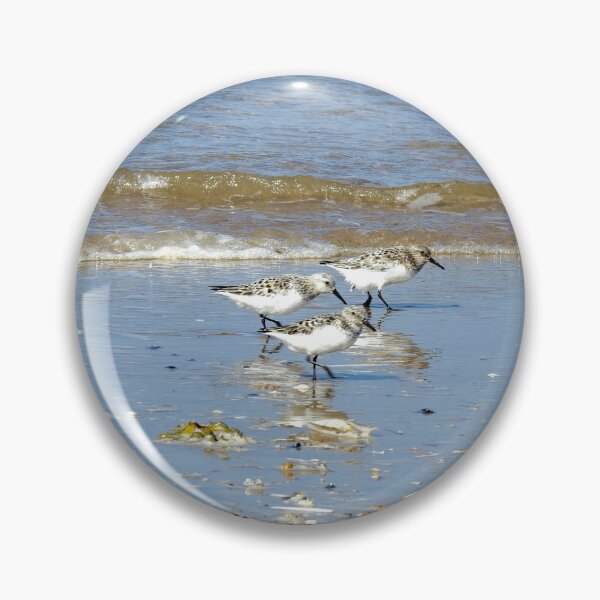 Item preview, Three Sanderlings at the edge of the sea designed and sold by TwistedClassics.