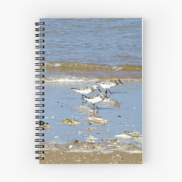 Item preview, Three Sanderlings at the edge of the sea designed and sold by TwistedClassics.