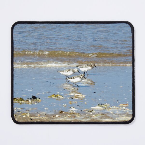 Item preview, Three Sanderlings at the edge of the sea designed and sold by TwistedClassics.