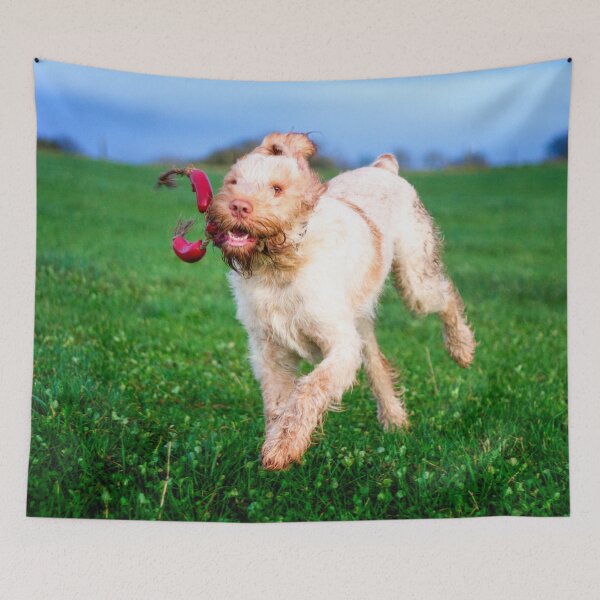 Item preview, Sausage thief Spinone designed and sold by FOLK ART FUSION.