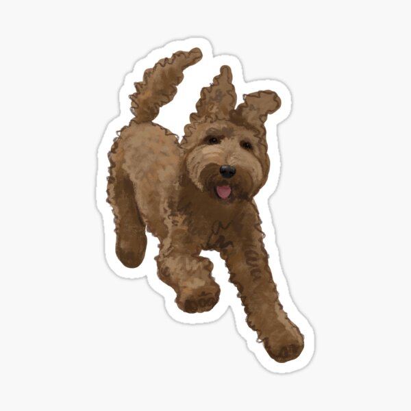 Item preview, Hand drawn Labradoodle, Goldendoodle, Cockapoo, doodle designed and sold by elinaarbidane.