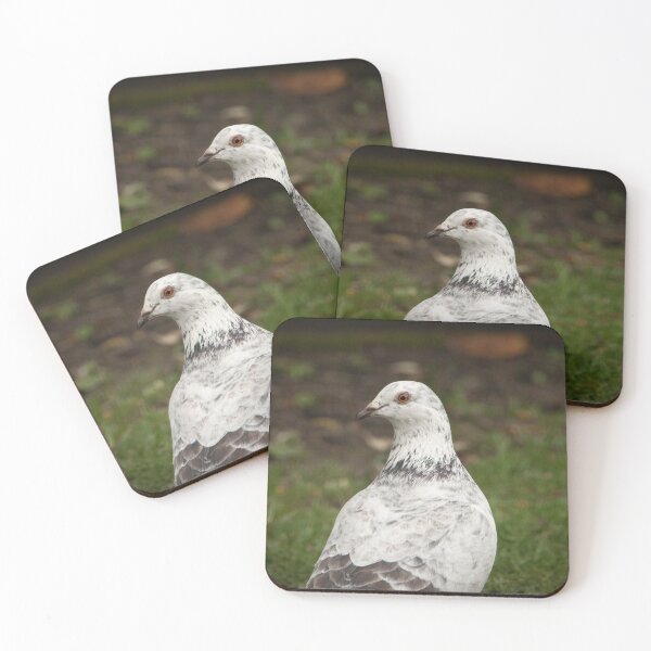 Item preview, Lovely White Speckled Pigeon designed and sold by StelleryART.