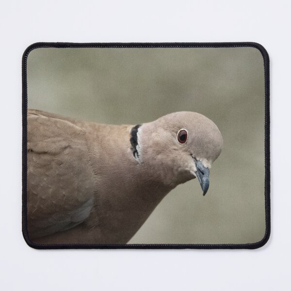 Item preview, Peek-a-boo Dove designed and sold by StelleryART.