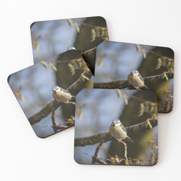 Item preview, Little Blue Tit designed and sold by StelleryART.