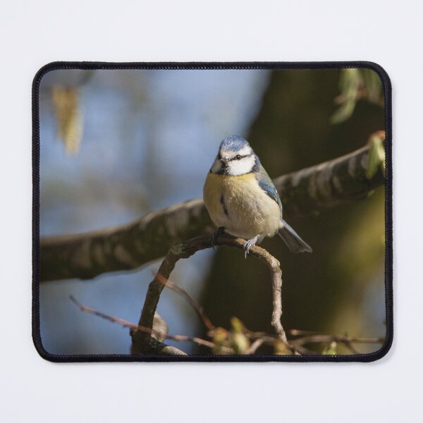 Item preview, Little Blue Tit designed and sold by StelleryART.