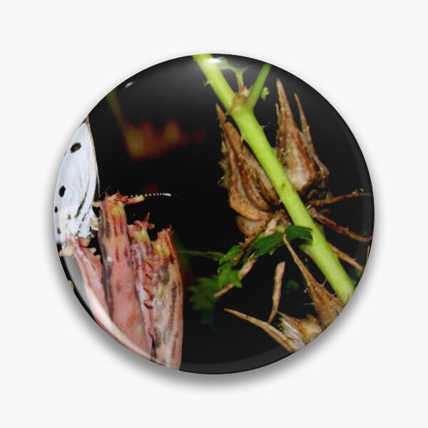 Item preview, Butterfly designed and sold by  Creative Drift.