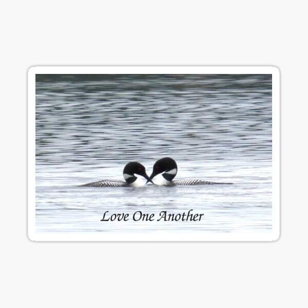Loony Lovebirds ~ Love One Another Sticker