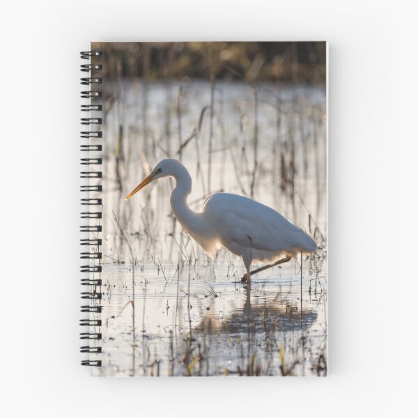 Item preview, Great egret (Ardea alba) designed and sold by Steve Liptrot Photography.