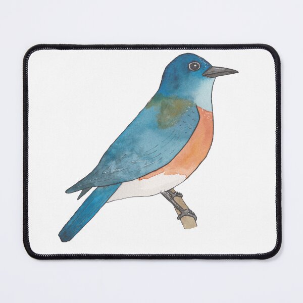 Artikelvorschau, Western Bluebird-Vogelarten entworfen und verkauft von TheWaterBirds.