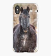 Dark Horse iPhone Case