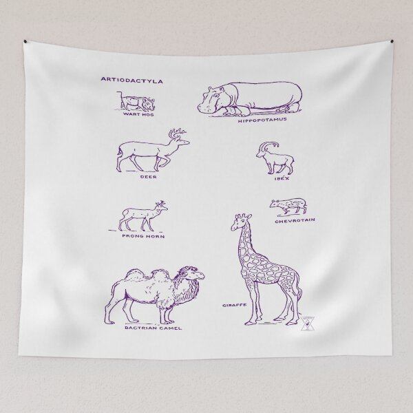 Item preview, Zoology Animal Chart | Natural History Illustrations designed and sold by encyclo-art.