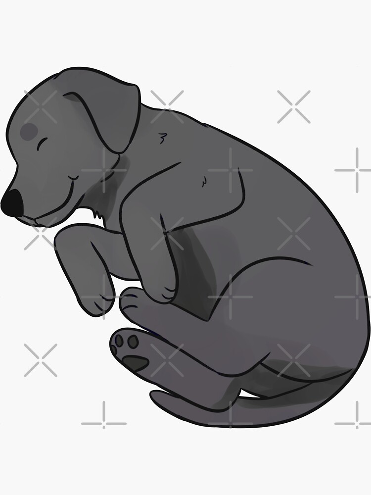 Imagen de producto 3