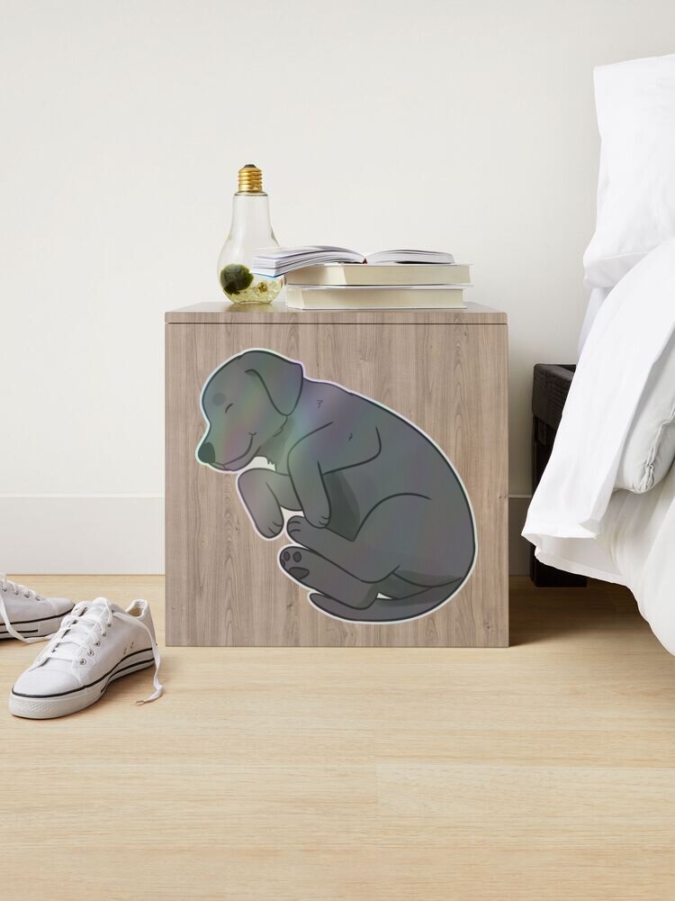 Imagen de producto 2