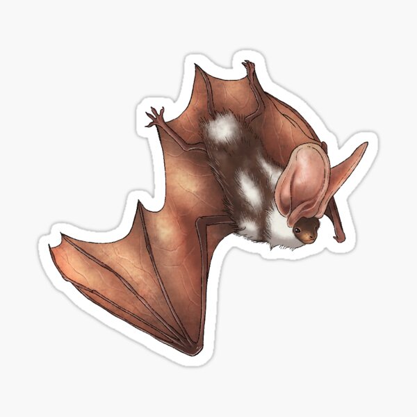 Item preview, Spotted Bat designed and sold by Mousewren.