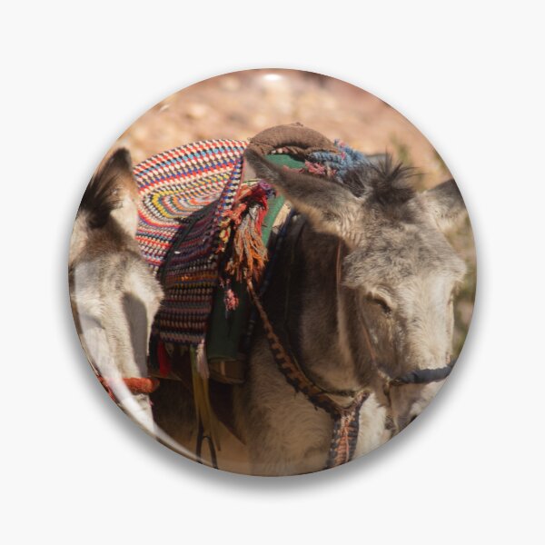 Item preview, tired donkeys in the desert designed and sold by Travelwithkids.