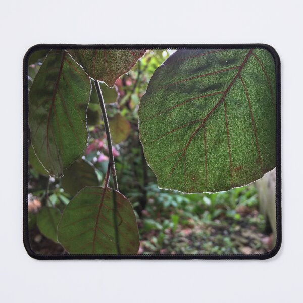 Item preview, Leafy Greens designed and sold by EmmelineKlatt.