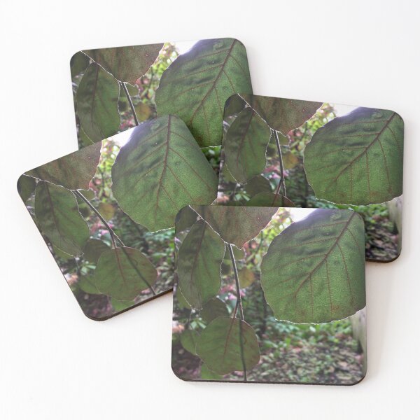 Item preview, Leafy Greens designed and sold by EmmelineKlatt.