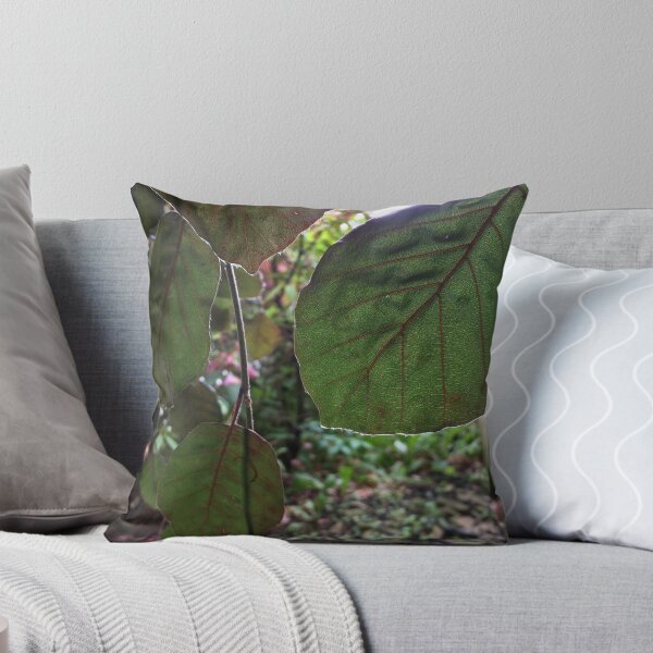 Item preview, Leafy Greens designed and sold by EmmelineKlatt.