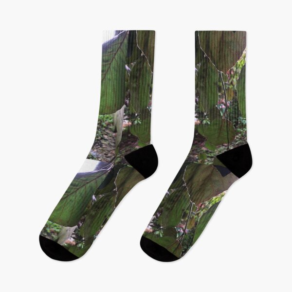 Item preview, Leafy Greens designed and sold by EmmelineKlatt.