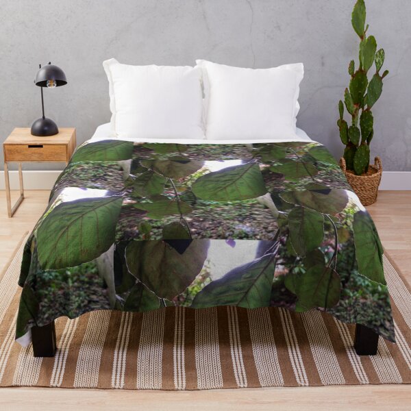 Item preview, Leafy Greens designed and sold by EmmelineKlatt.
