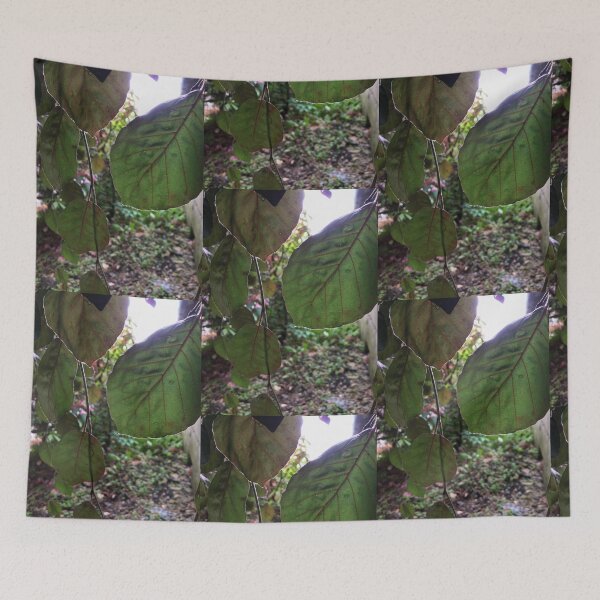 Item preview, Leafy Greens designed and sold by EmmelineKlatt.