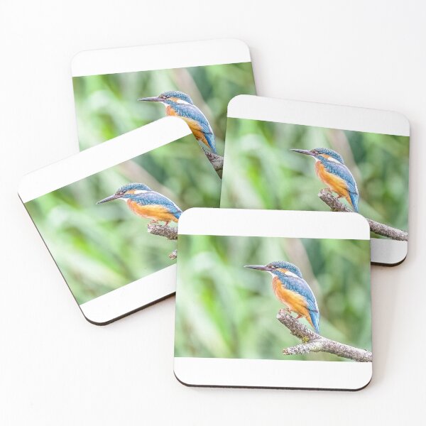 Item preview, Kingfisher 1 designed and sold by Jinxyboy1908.
