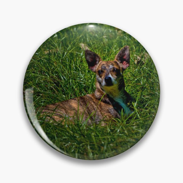 Item preview, Small And Wiry Camouflaged Grigi III designed and sold by alabca.