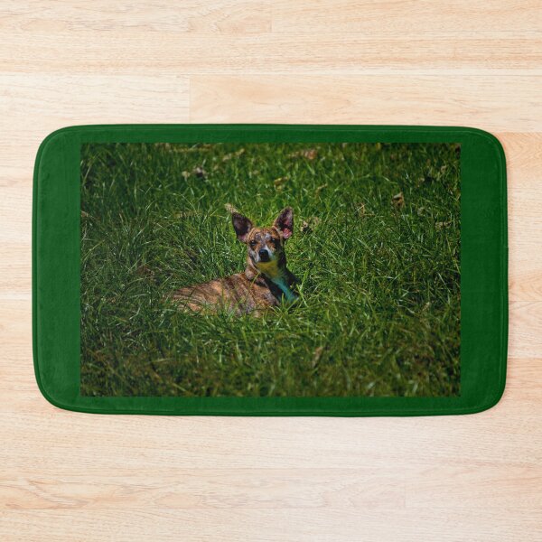 Item preview, Small And Wiry Camouflaged Grigi III designed and sold by alabca.