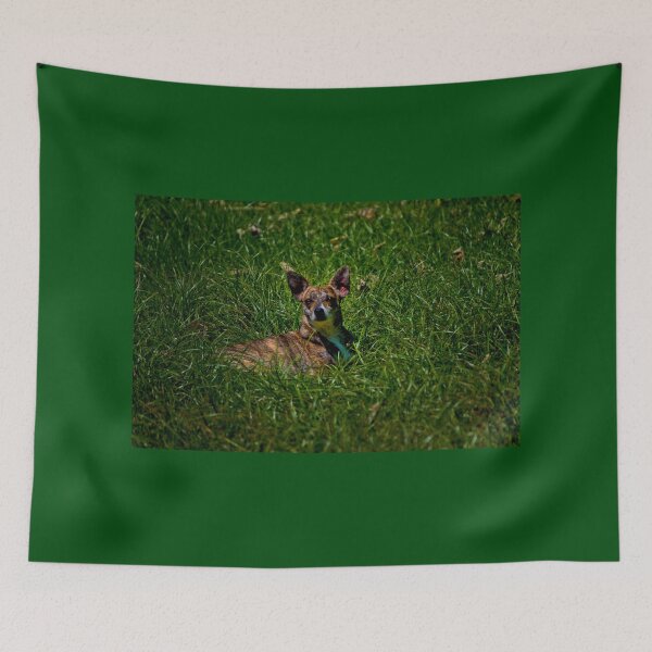 Item preview, Small And Wiry Camouflaged Grigi III designed and sold by alabca.
