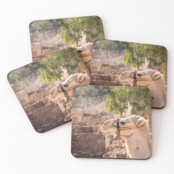 Item preview, camel in the jordan desert designed and sold by Travelwithkids.