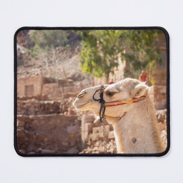 Item preview, camel in the jordan desert designed and sold by Travelwithkids.