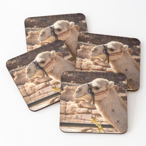 Item preview, cute camel in the jordan desert designed and sold by Travelwithkids.