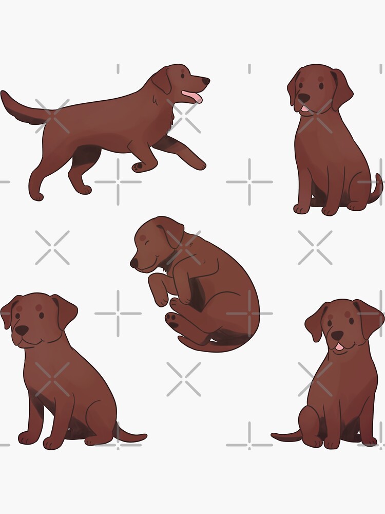 Cute Chocolate Labrador Puppy Watercolor Vinyl Sticker for 