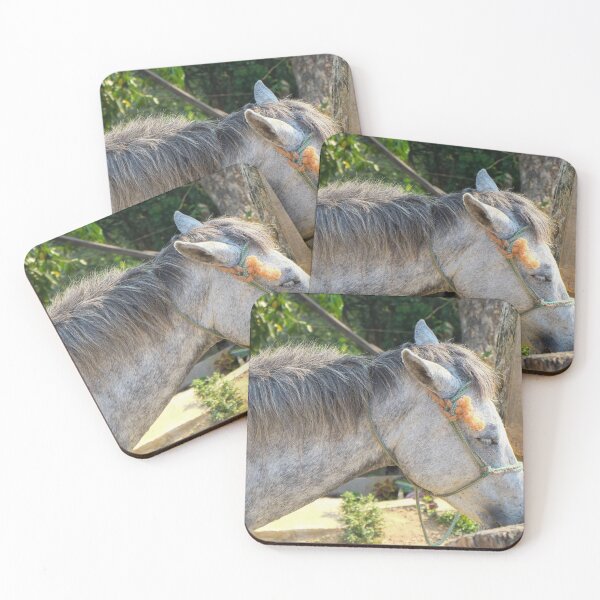 Item preview, Horsey  designed and sold by EmmelineKlatt.