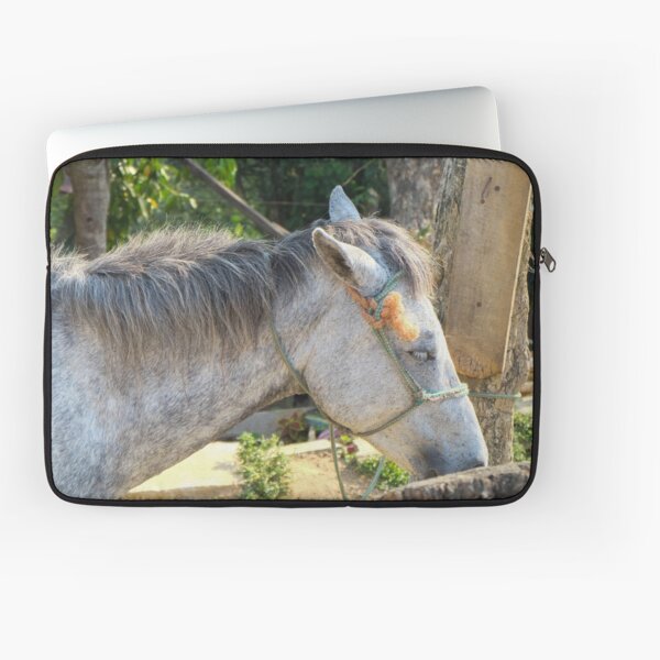 Item preview, Chevalin designed and sold by EmmelineKlatt.