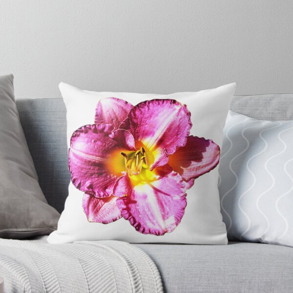 Item preview, Hemerocallis rosa designed and sold by Louise-Mae.