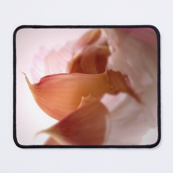 Item preview, Garlic bulb papery skin peeling, exposing brown cloves designed and sold by bailey-cooper.