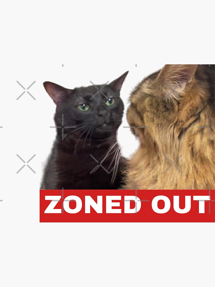 "Black Cat Zoning Out" Sticker for Sale by hoffee Redbubble